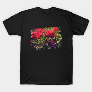 Pretty Red Flower with green leaves nature lovers beautiful photography design T-Shirt